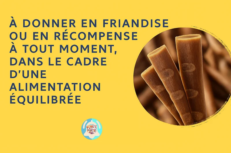 Bâtonnets pour chat dinde agneau Friandises tendres x10