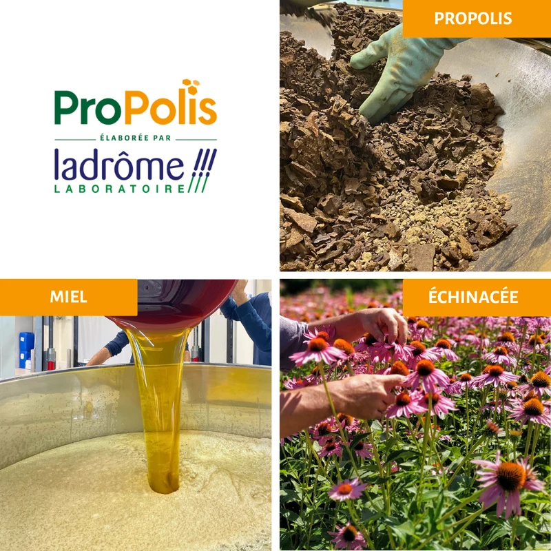 Spray buccal Propolis bio