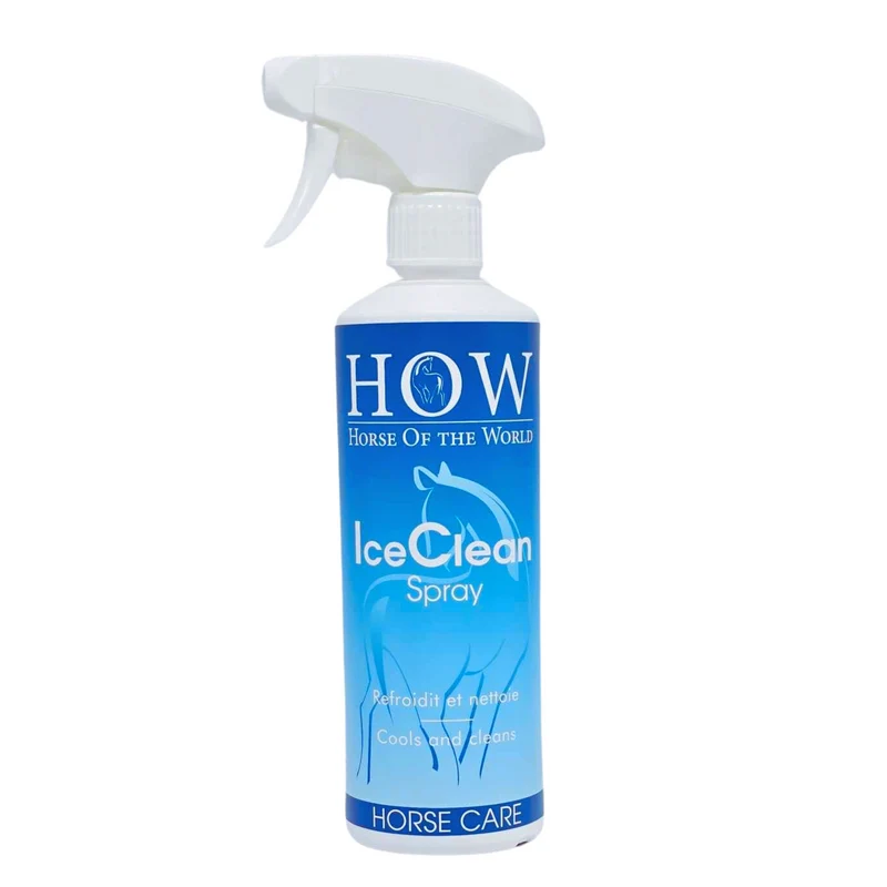 Ice Clean