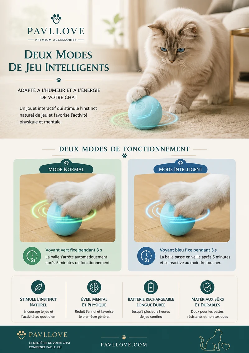 Balle Interactive pour Chat Rechargeable USB LED 360°