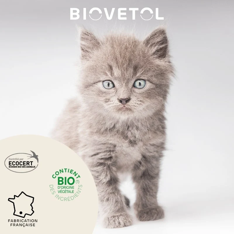 Pipettes Antiparasitaire Chat & Chaton - Offre 3+1 gratuit - Biovetol