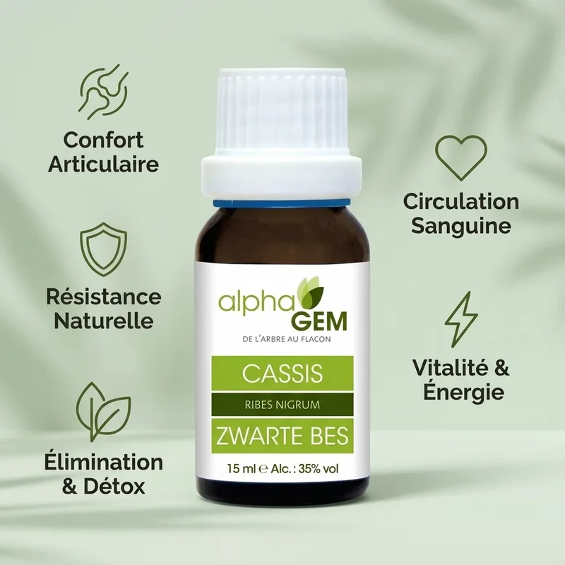 Macérat de bourgeons de cassis bio - 15 ml - Alphagem