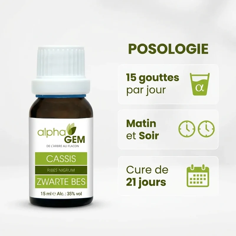 Macérat de bourgeons de cassis bio - 15 ml - Alphagem
