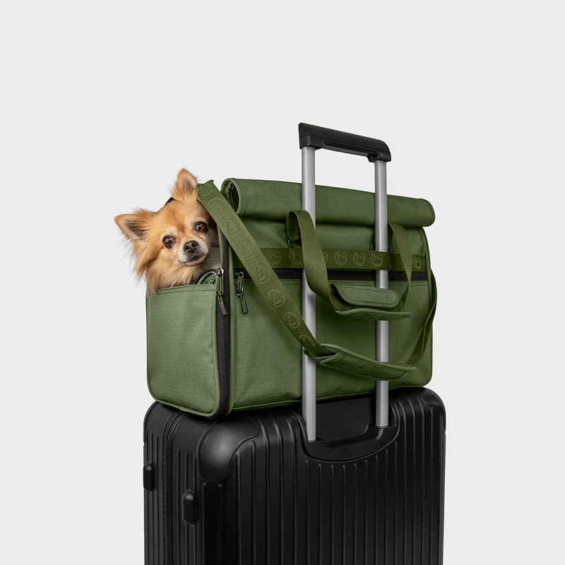 Sac de transport pour chien AKTIV Olive – Cloud7