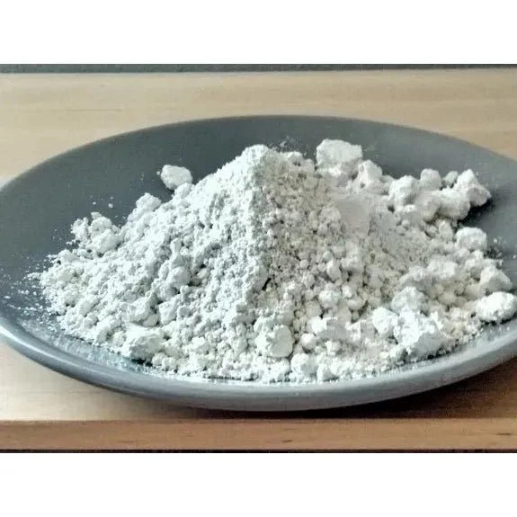 Terre de Diatomée Insecticide naturel Naturasphere pot 150g
