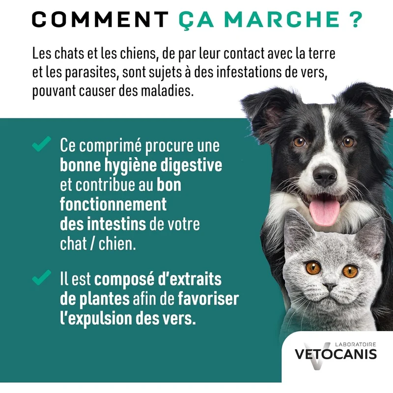 VerZen- Bien-Être Intestinal et Hygiène Digestive, Formule aux Plantes pour Chiens et Chats