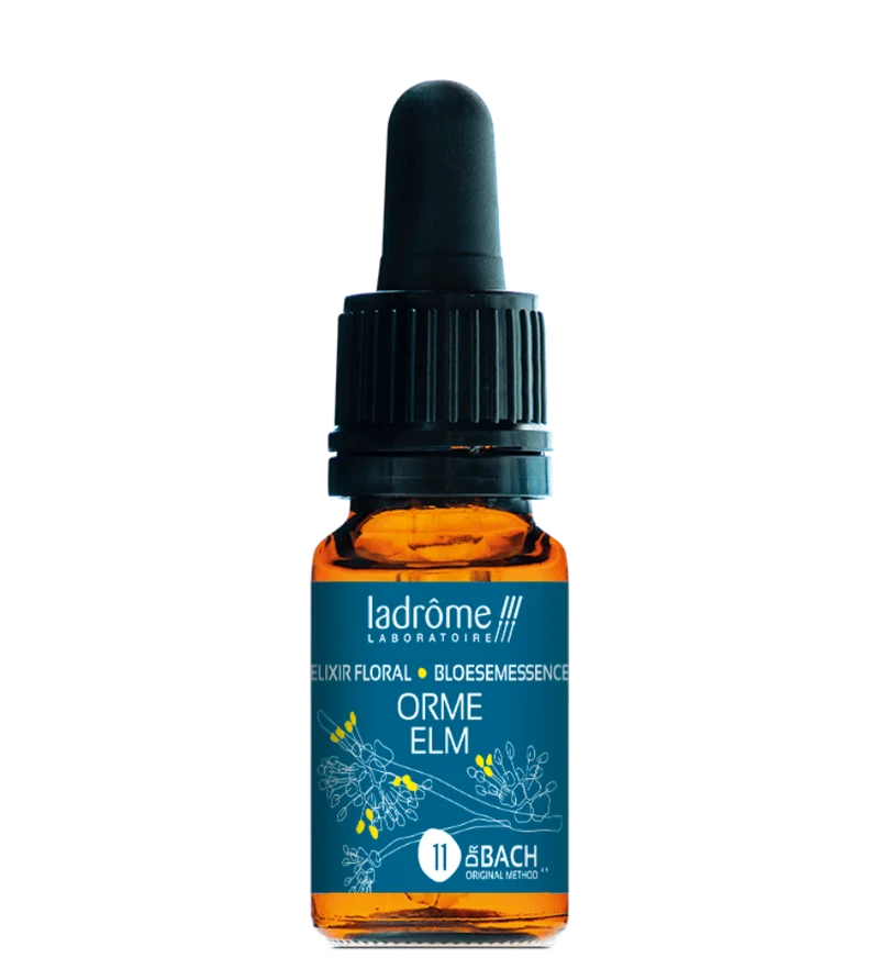Orme - Fleur de Bach bio