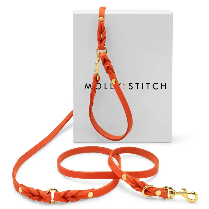Laisse en cuir pour chien souple réglable (3x)