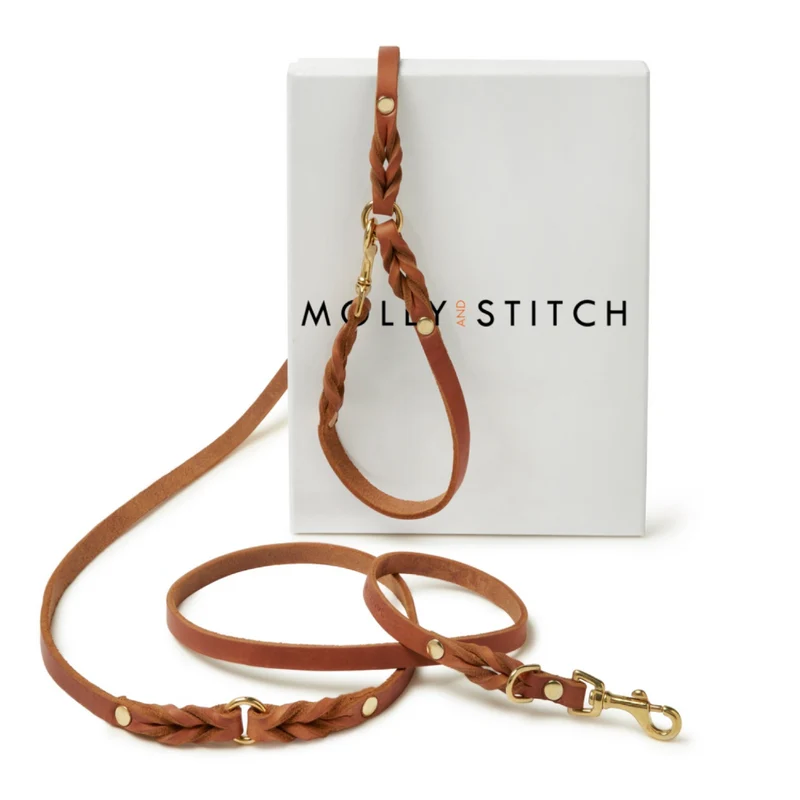 Laisse en cuir pour chien souple réglable (3x)