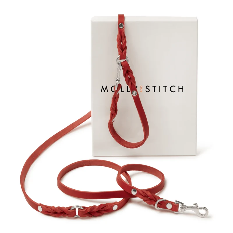 Laisse en cuir pour chien souple réglable (3x)