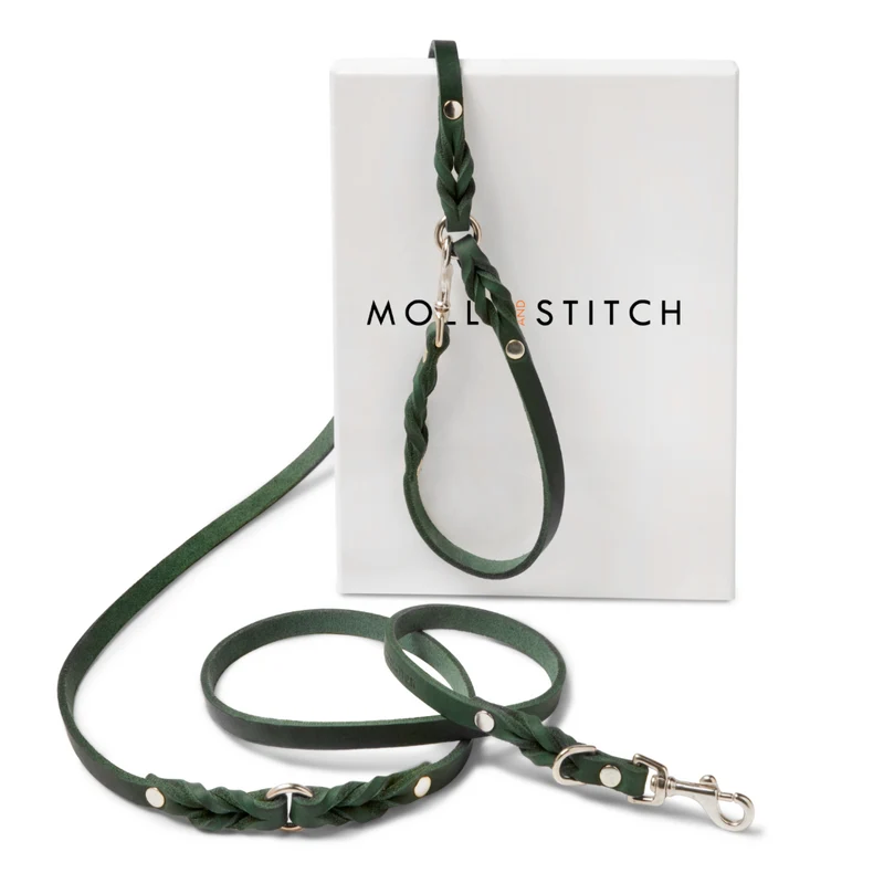 Laisse en cuir pour chien souple réglable (3x)