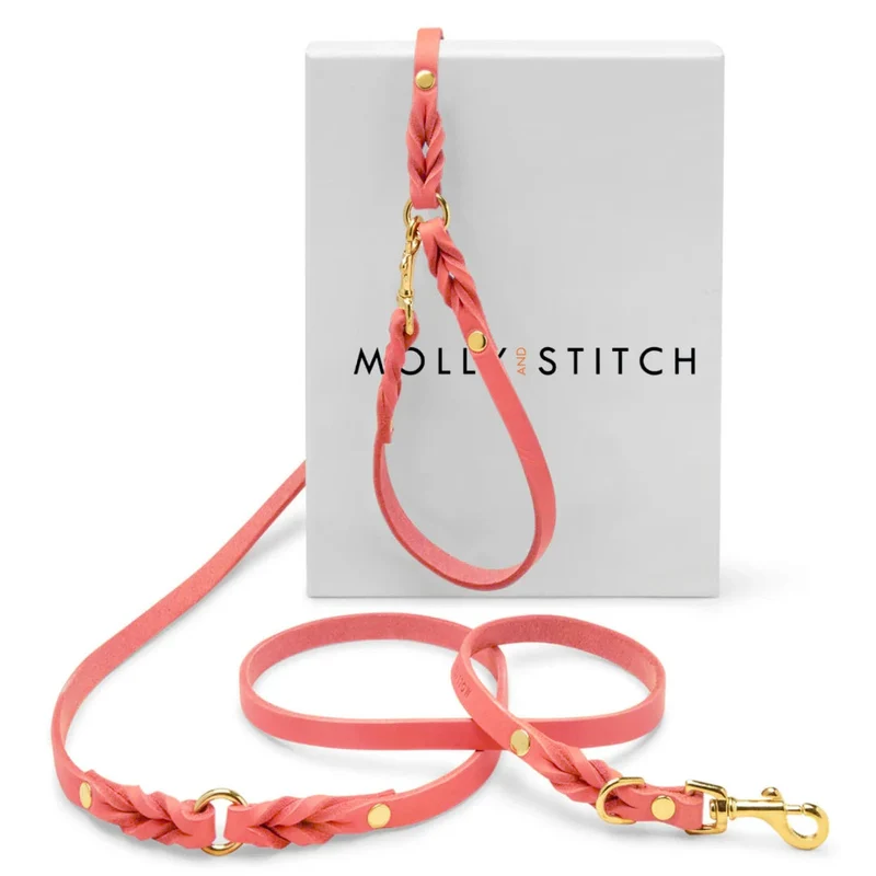 Laisse en cuir pour chien souple réglable (3x)
