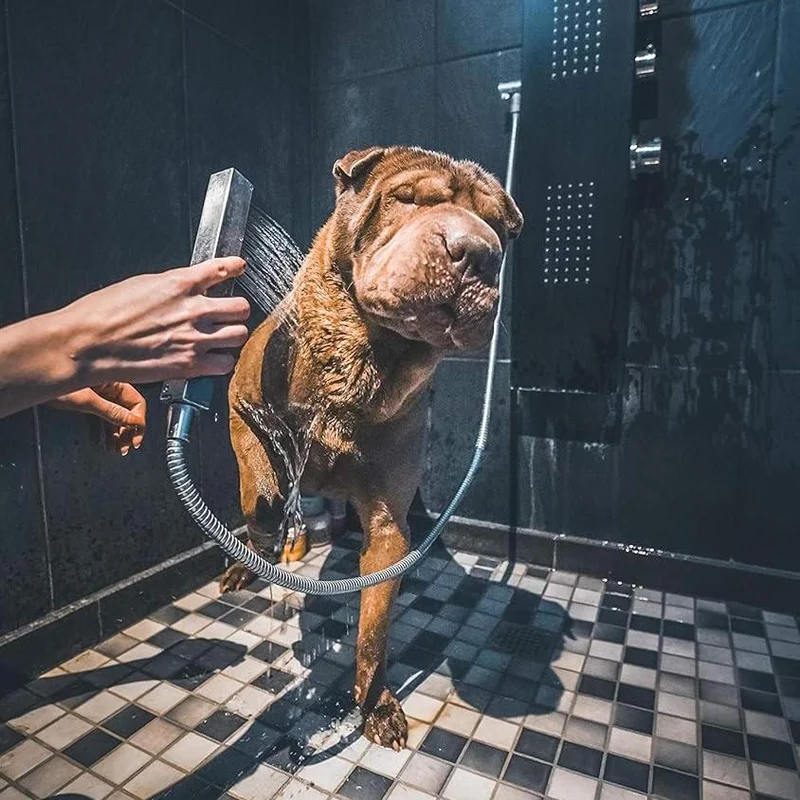 Shampoing Usage Fréquent pour Chien, à l'Aloe Vera. 300ml