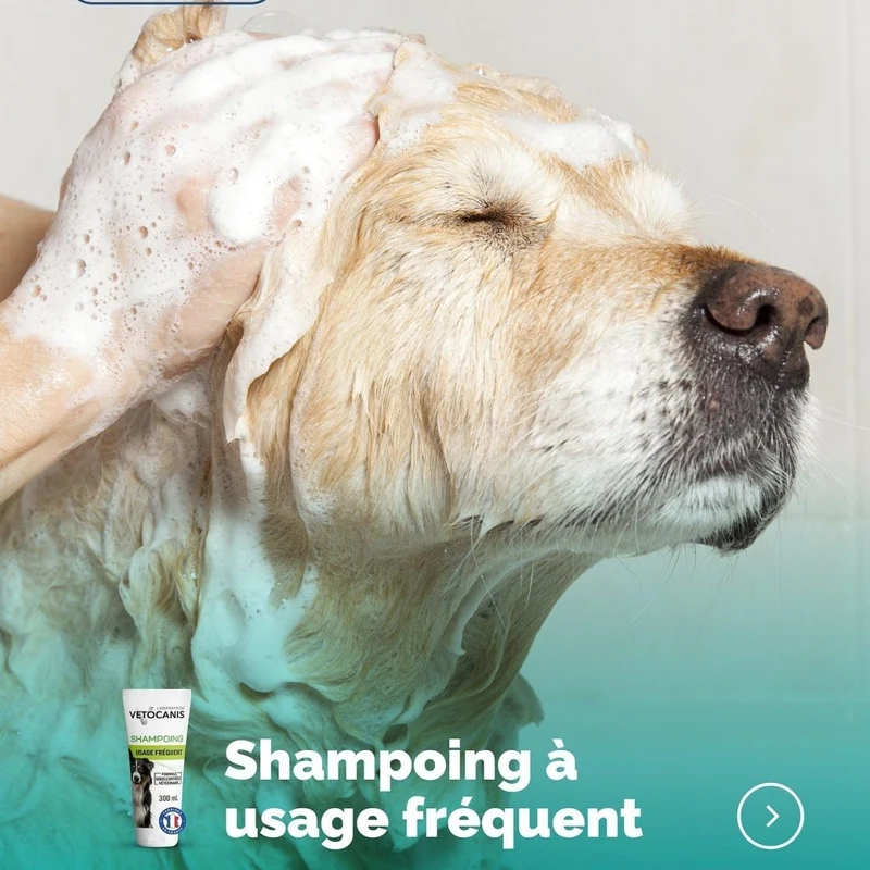 Shampoing Usage Fréquent pour Chien, à l'Aloe Vera. 300ml