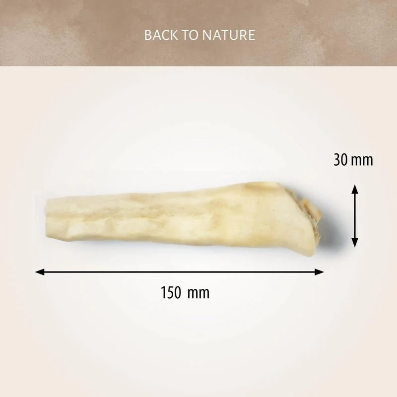 Queue de Bœuf Naturelle pour Chien