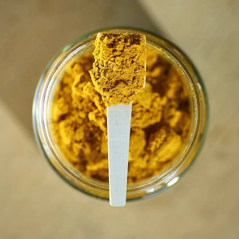 Pâte de curcuma en poudre pour Chiens et Chats – Mr Bones