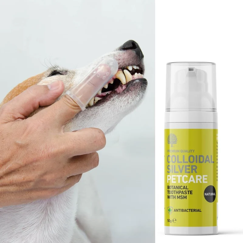 Dentifrice à base d'argent colloïdal pour chien