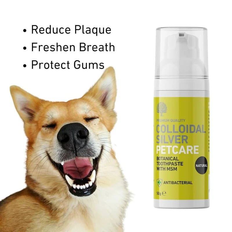 Dentifrice à base d'argent colloïdal pour chien