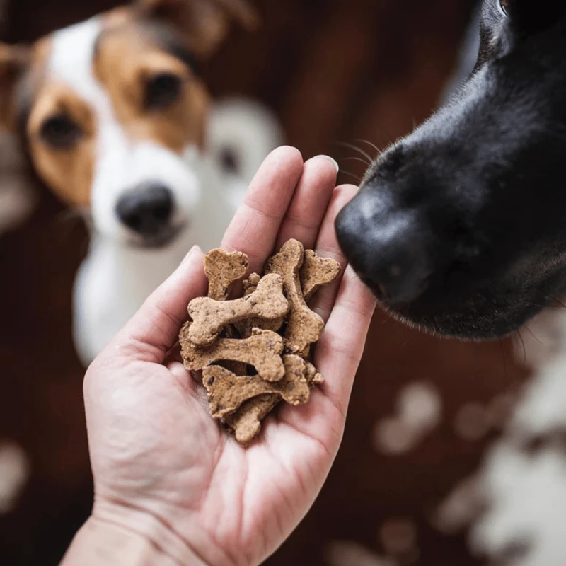 Biscuits artisanaux pour chien – Bœuf & betterave Cooka's Cookies