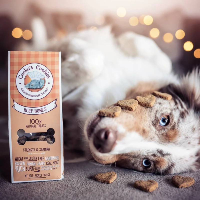 Biscuits artisanaux pour chien – Bœuf & betterave Cooka's Cookies