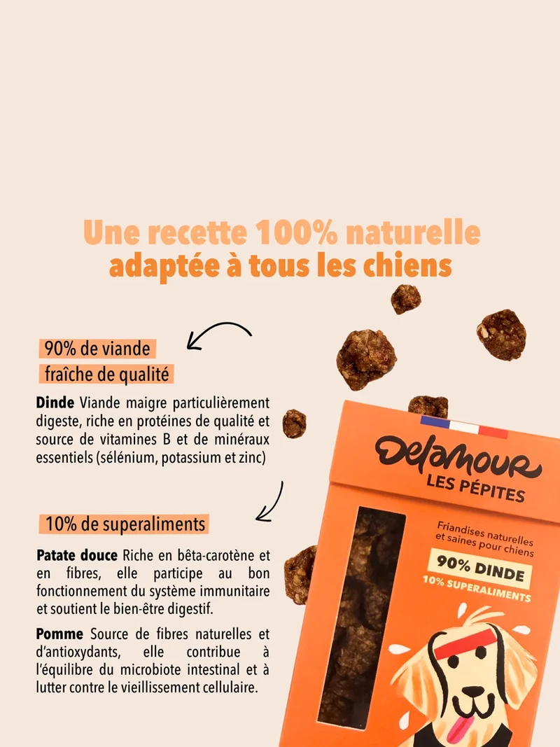 Friandises pour chien - Les Pépites à la Dinde 🦃 - Delamour