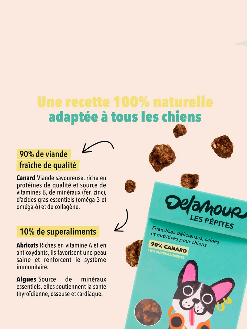 Friandises pour chien - Les Pépites au Canard 🦆 - Delamour