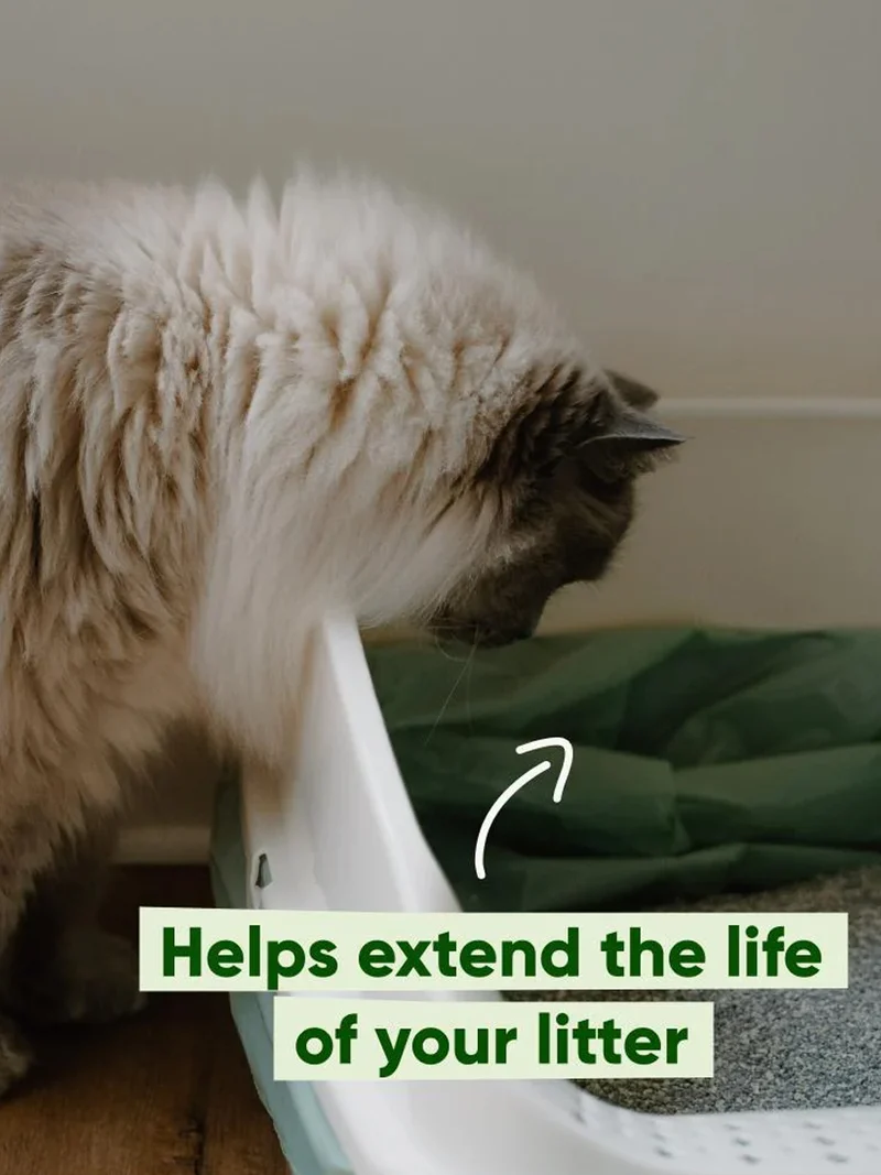Sacs à crottes pour chat parfumés à la menthe - Becopets