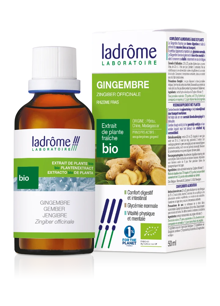 Gingembre - Extrait bio