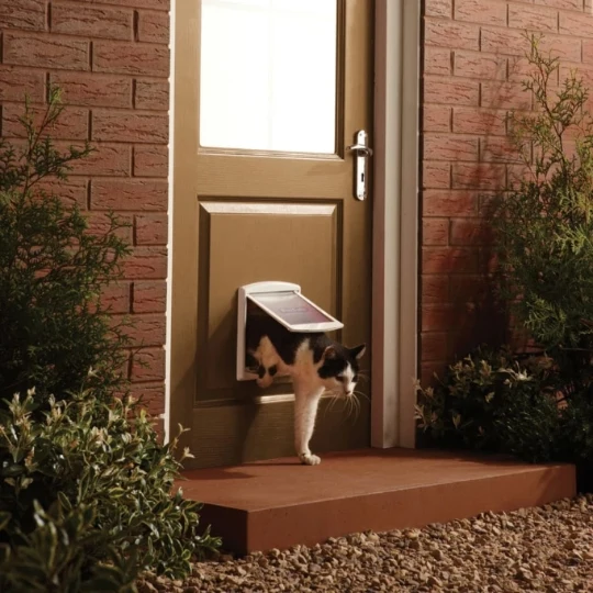 Petsafe - Chatière Staywell à 2 positions