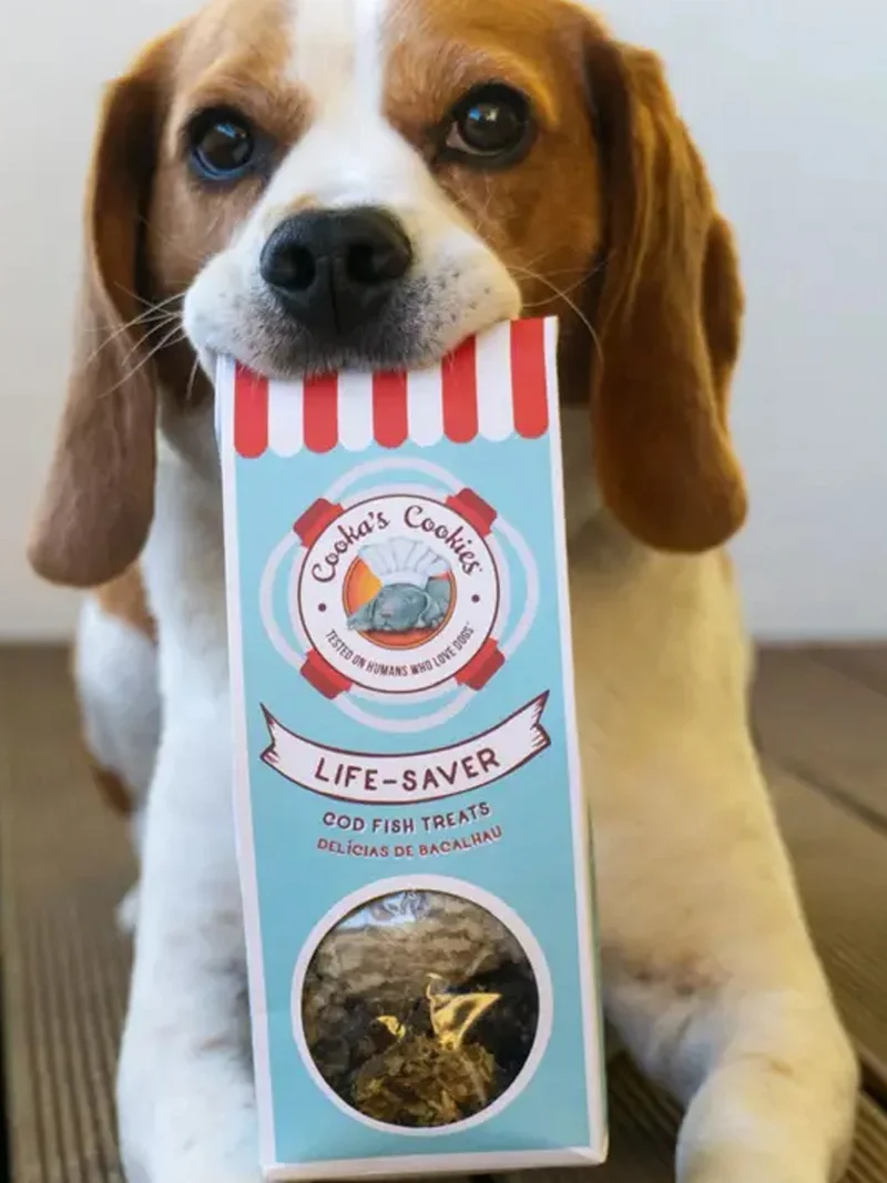 Assortiments de friandises au poisson pour chien – Cooka's Cookies