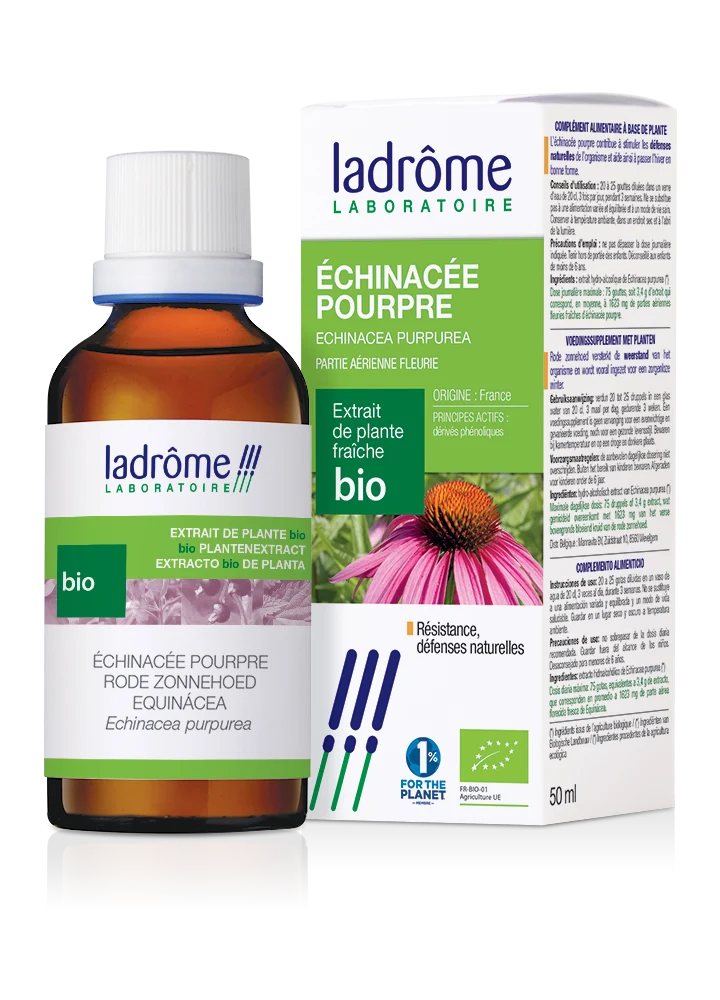 Échinacée pourpre - Extrait bio