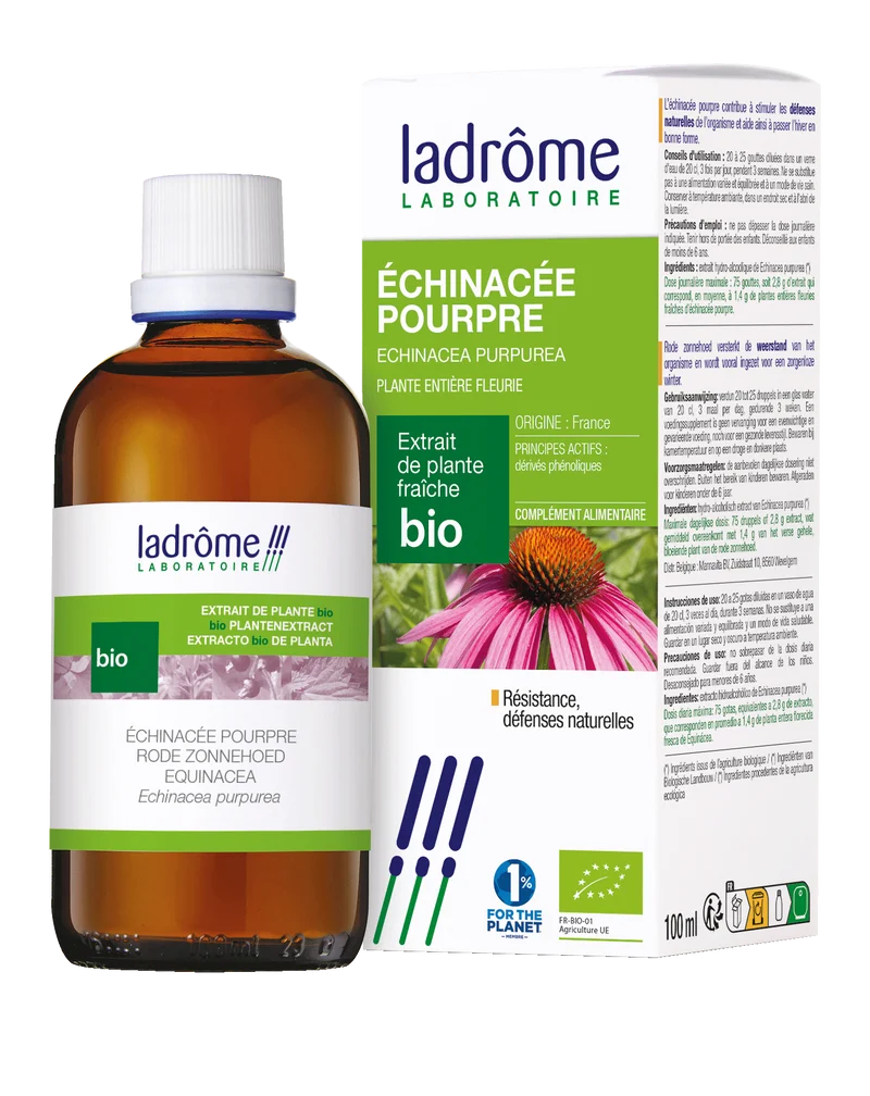 Échinacée pourpre - Extrait bio
