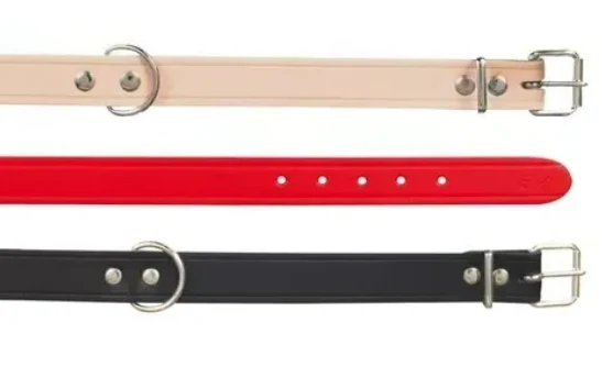 Collier pour chien Basic