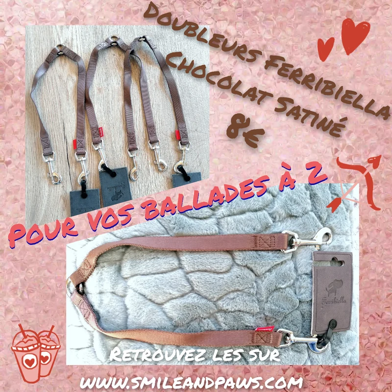 Doubleur de Laisse - 2 coloris