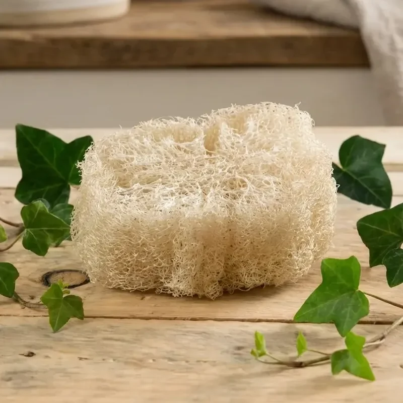 Porte Savon Biodégradable (luffa brut) - Lot de 2 - Angie Be Green