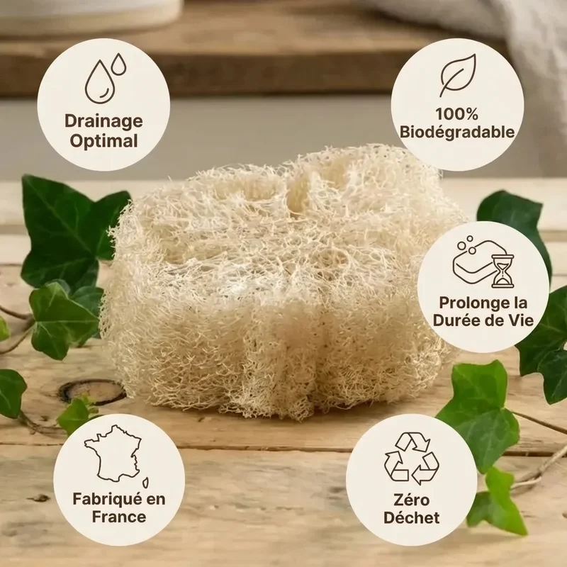 Porte Savon Biodégradable (luffa brut) - Lot de 2 - Angie Be Green