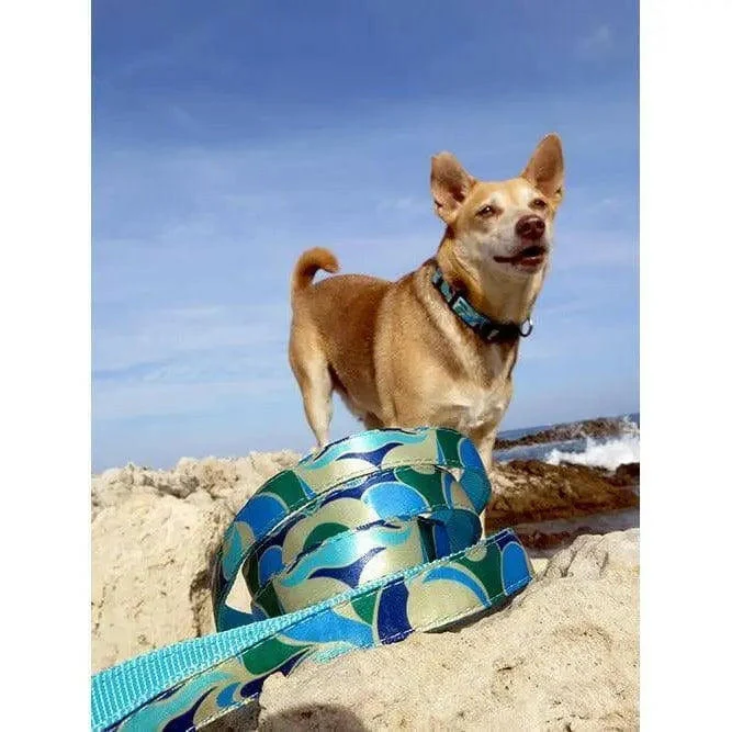 Laisse pour chien motif Azur