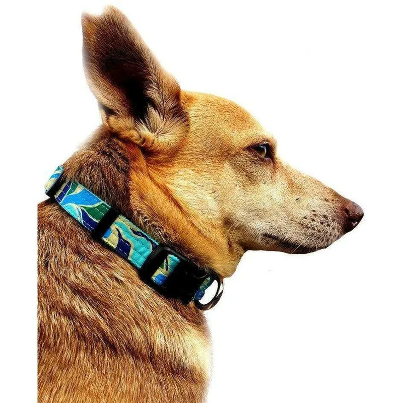 Collier pour chien motif Azur