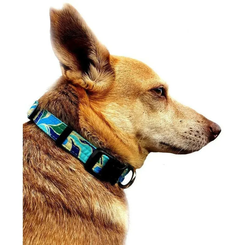 Ensemble collier + laisse pur chien motif Azur