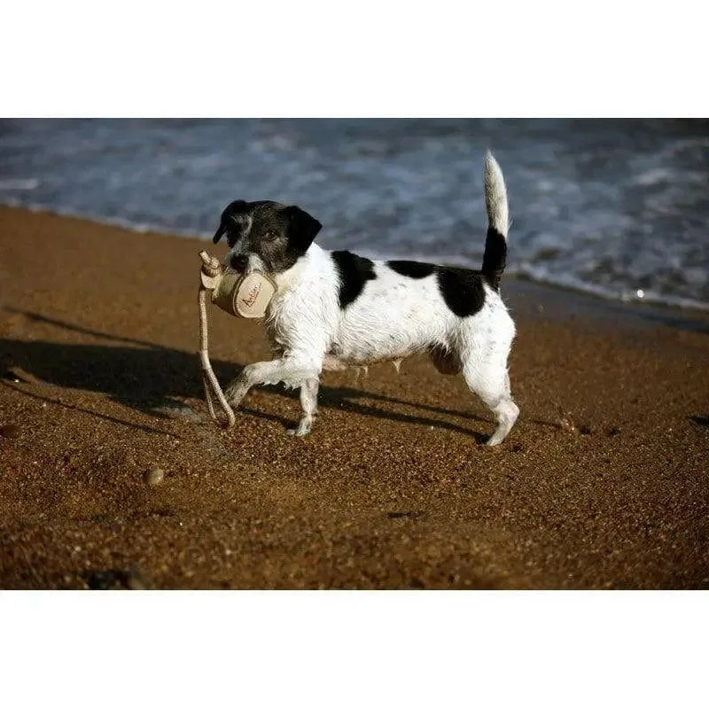 Jouet balle avec corde pour chien Écologique