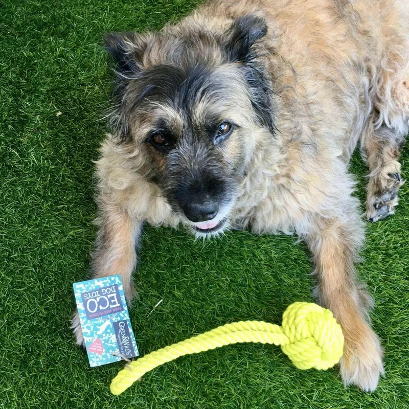 Corde à jouer pour chien en jute edo
