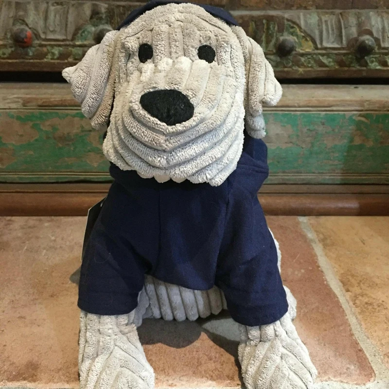 Manteau sweat à capuche pour chien XS