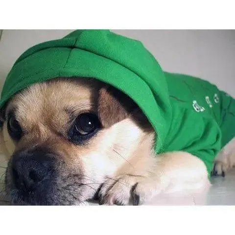 Manteau sweat à capuche pour chien, Tête de Mort XS