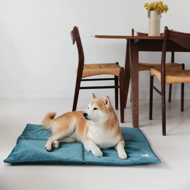 Tapis de Voyage Monsieur Hardi - Confort Nomade pour Votre Chien