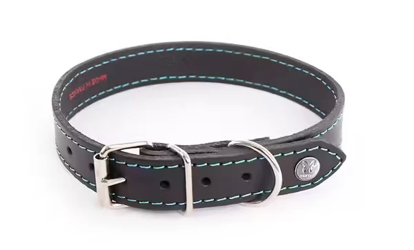 Martin Sellier - Chien - Collier cuir Flash couture fluo