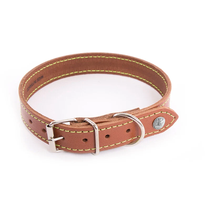 Martin Sellier - Chien - Collier cuir Flash couture fluo