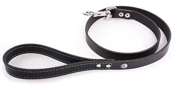 Martin Sellier - Chien - Laisse cuir Flash couture fluo