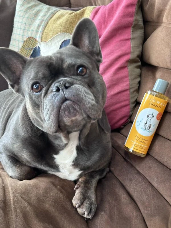 Shampoing & Conditionneur 2-en-1 WildWash