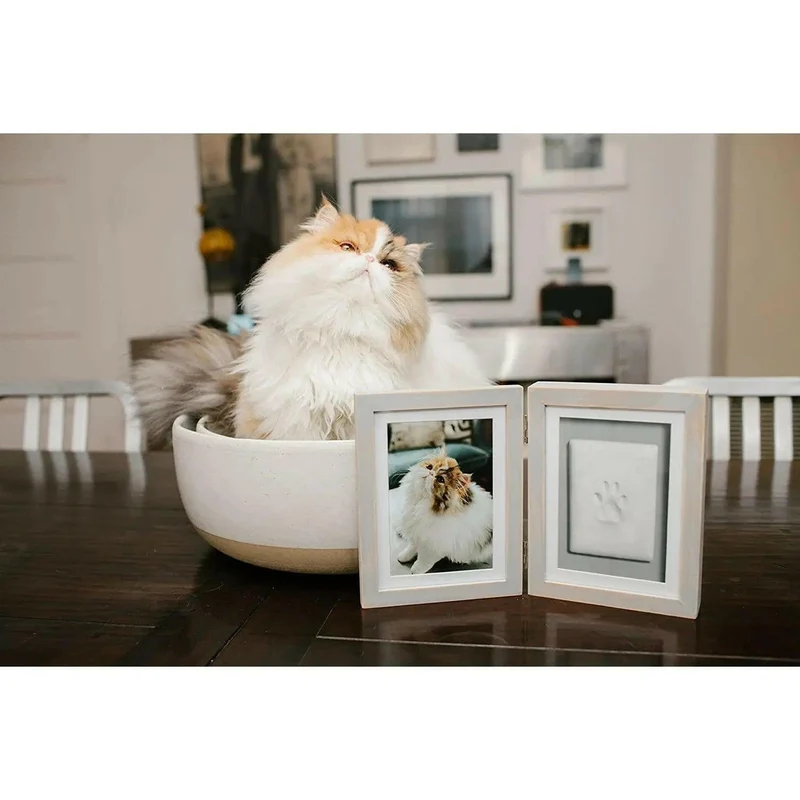 Double cadre photo avec empreinte de patte en plâtre 💥-20%