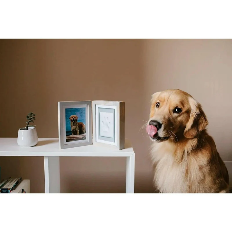 Double cadre photo avec empreinte de patte en plâtre 💥-20%